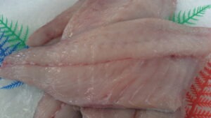 Blue Eye Cod Fillets