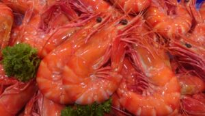 Cooked Black Tiger prawns