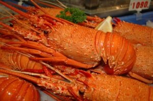 Cooked WA lobster