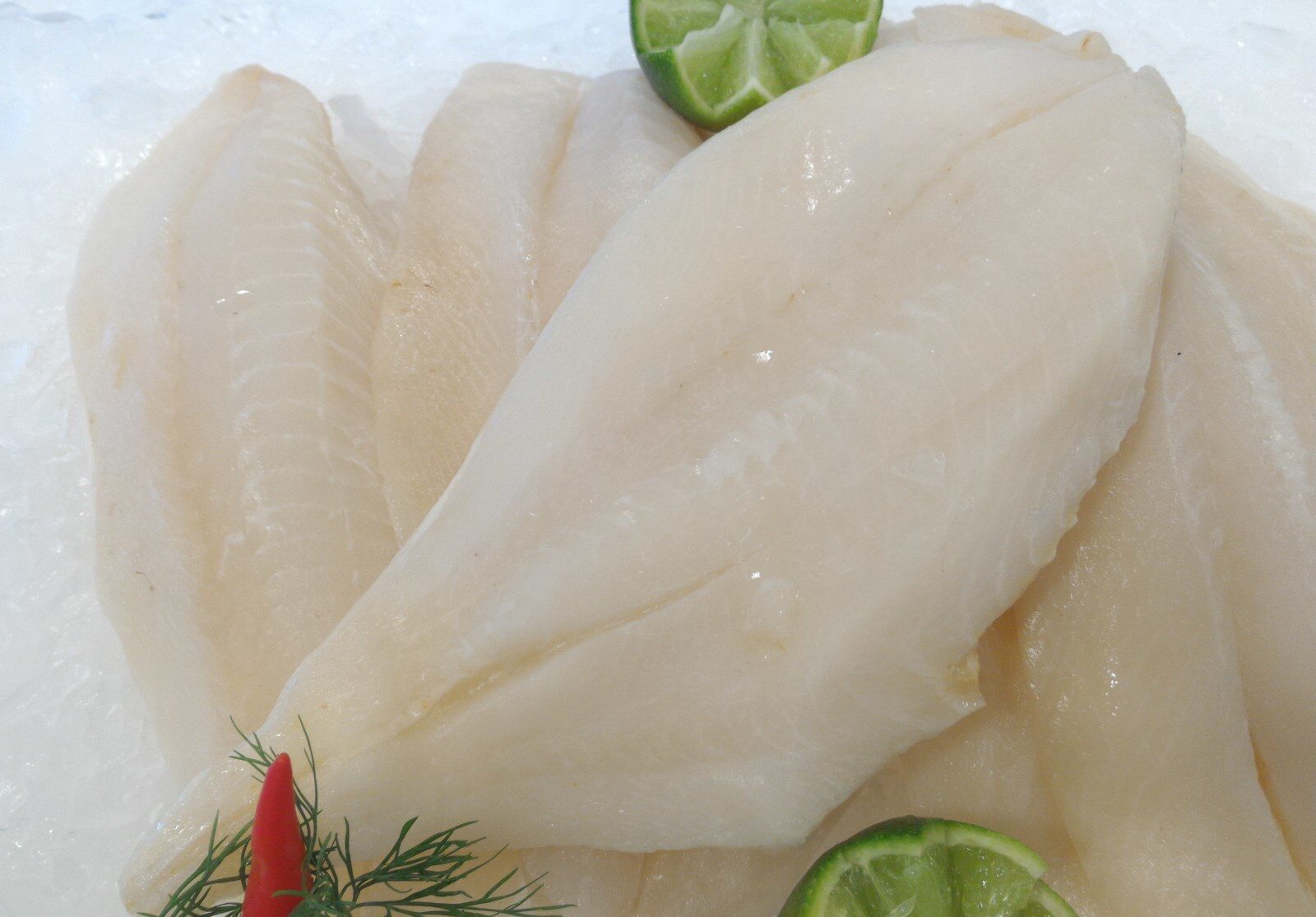 Deep sea perch fillets