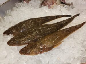 Dusky Flathead