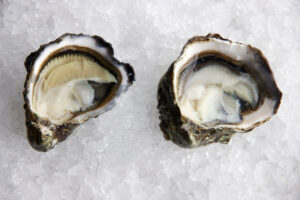 Kumamoto Oysters