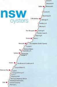 NSW Oyster