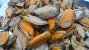 New Zealand Mussels Meat