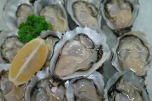 Pacific oyster