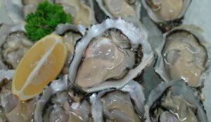 Pacific oyster