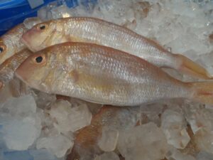 Threadfin bream