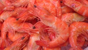 Cooked Vannamei Prawns