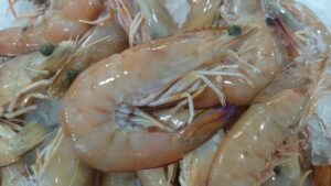 XL Green King Prawns