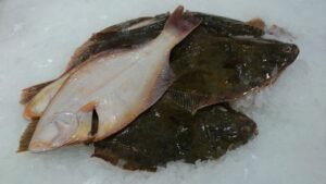 Yellowbelly Flounder