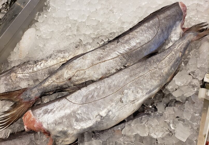 Gemfish