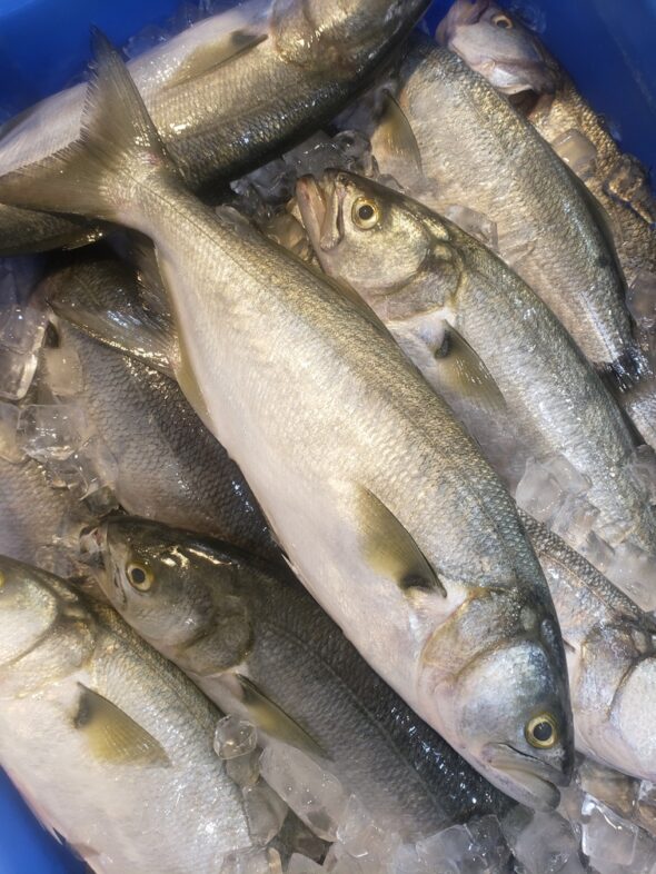 Tailor - Casula Fish Market