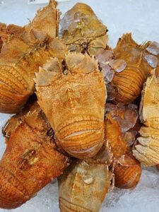 Cooked Moreton Bay Bugs