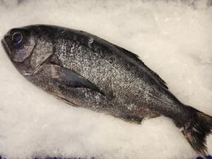 Whole Blue-Eye COD