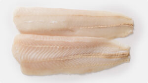 NewZealand HOKI Fillets