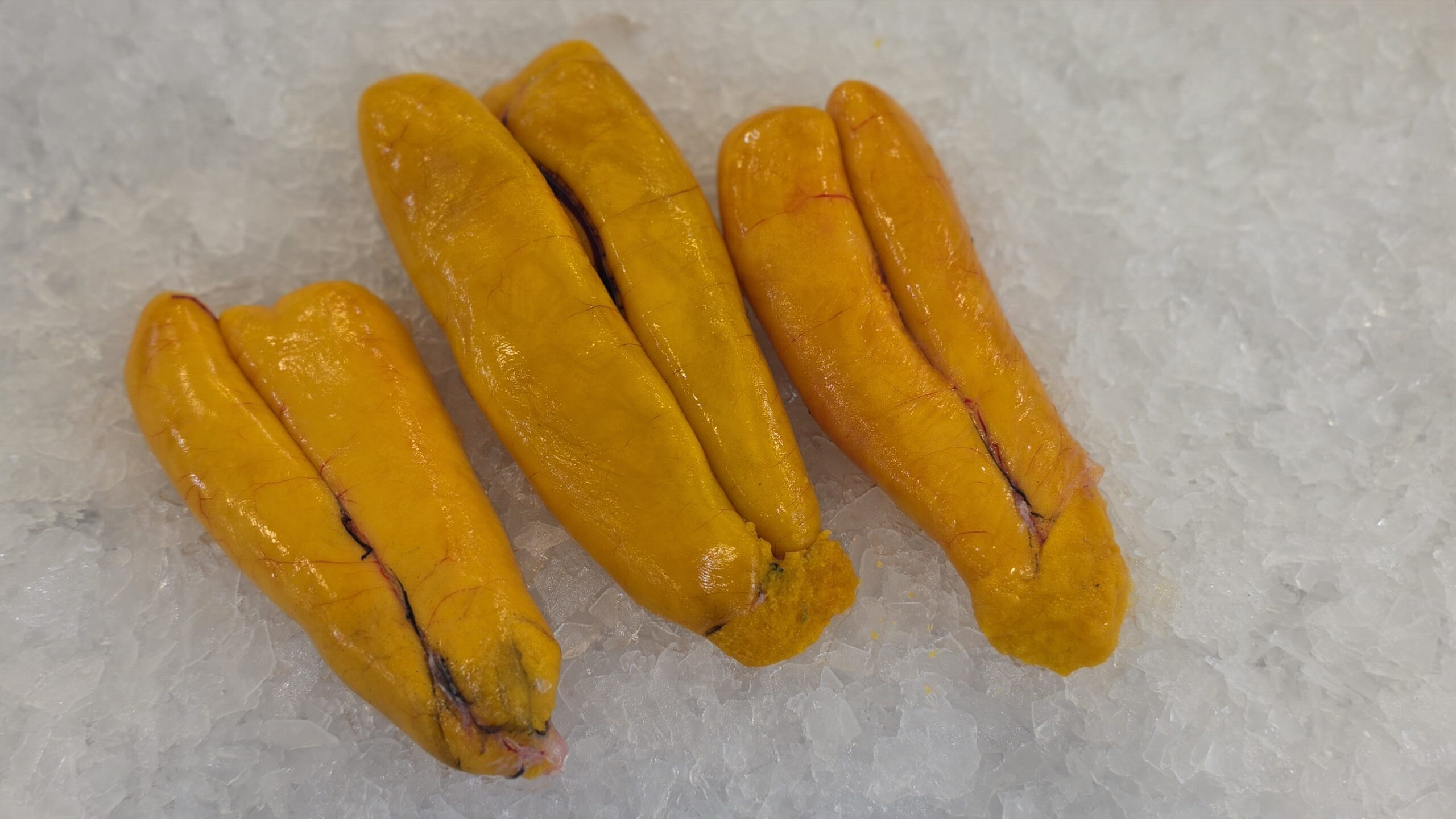 Fresh Mullet Roe