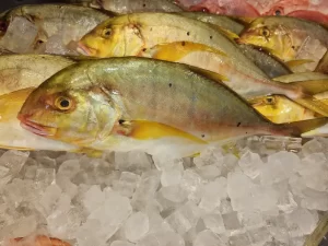 Golden Trevally