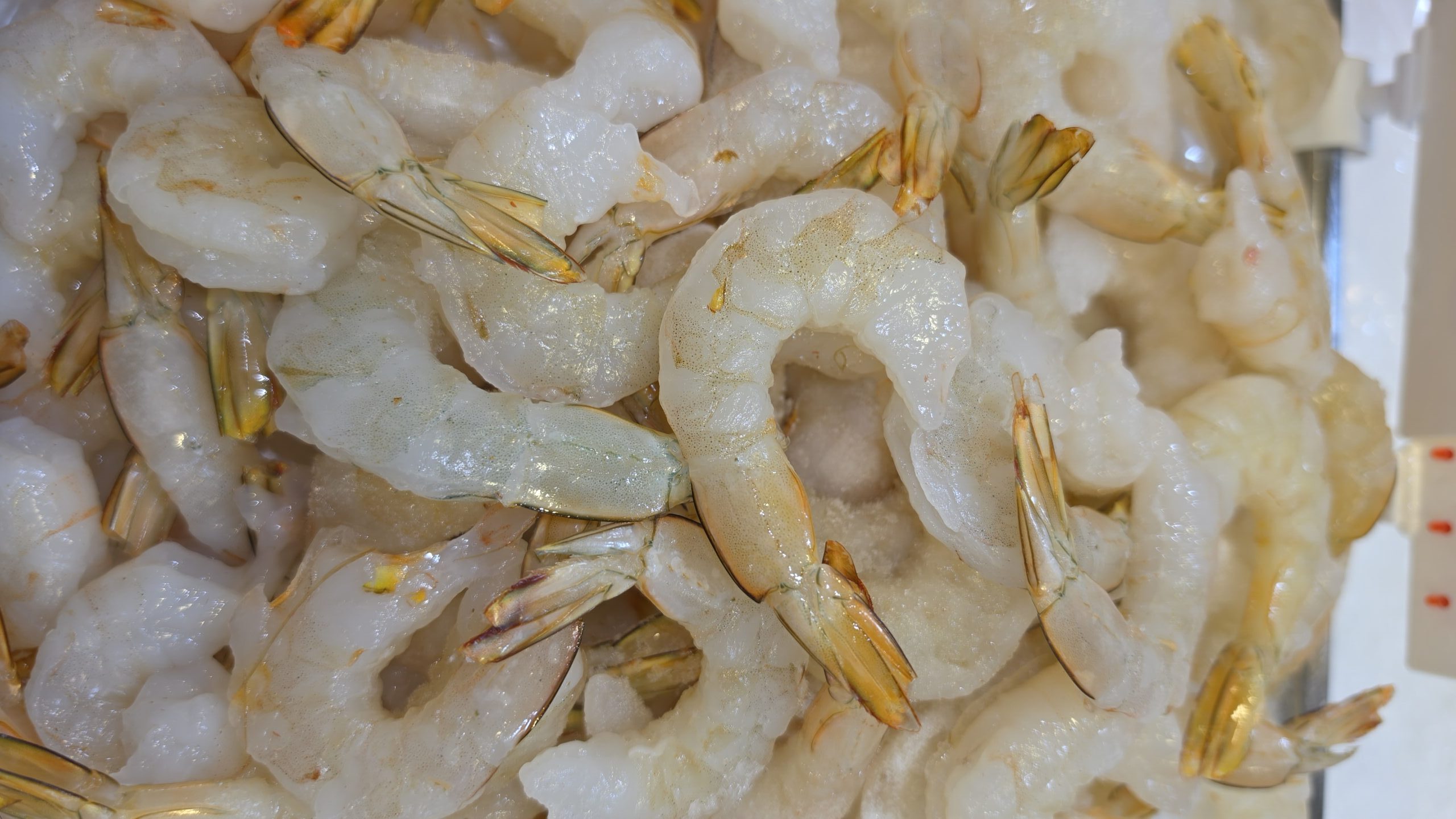 Australian Prawn Meat