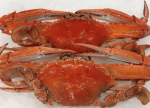 Cooked Blue Swimmer Crab