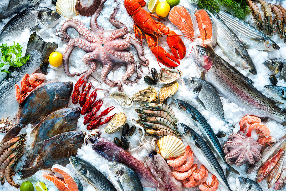 Exploring Australia’s Seafood Landscape: The Casula Fish Market