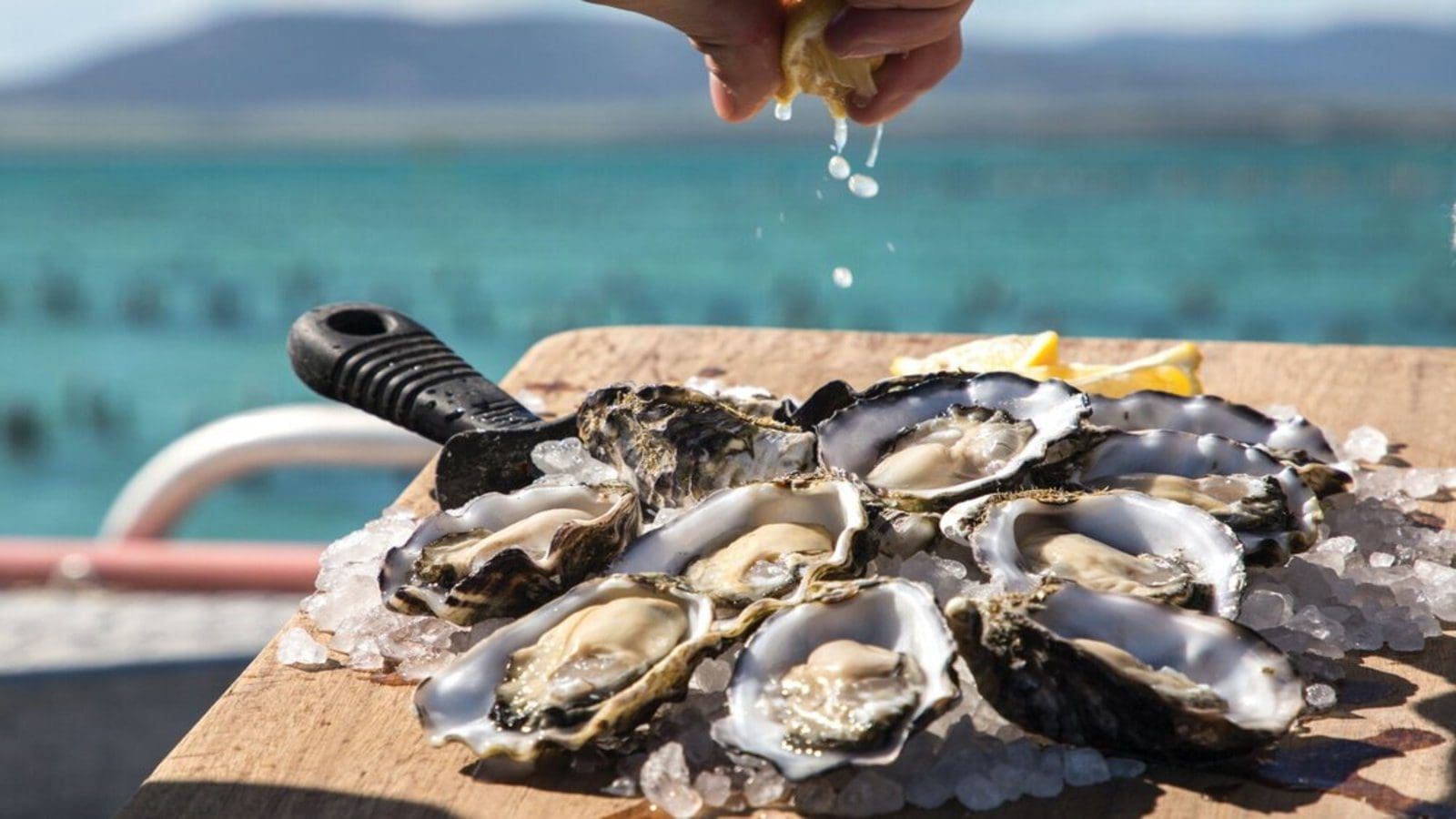 The Expanding Oysters Market in Australia: Best of Buyers