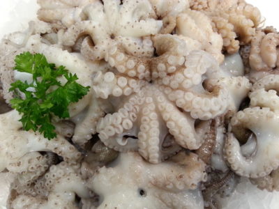 Fresh medium octopus
