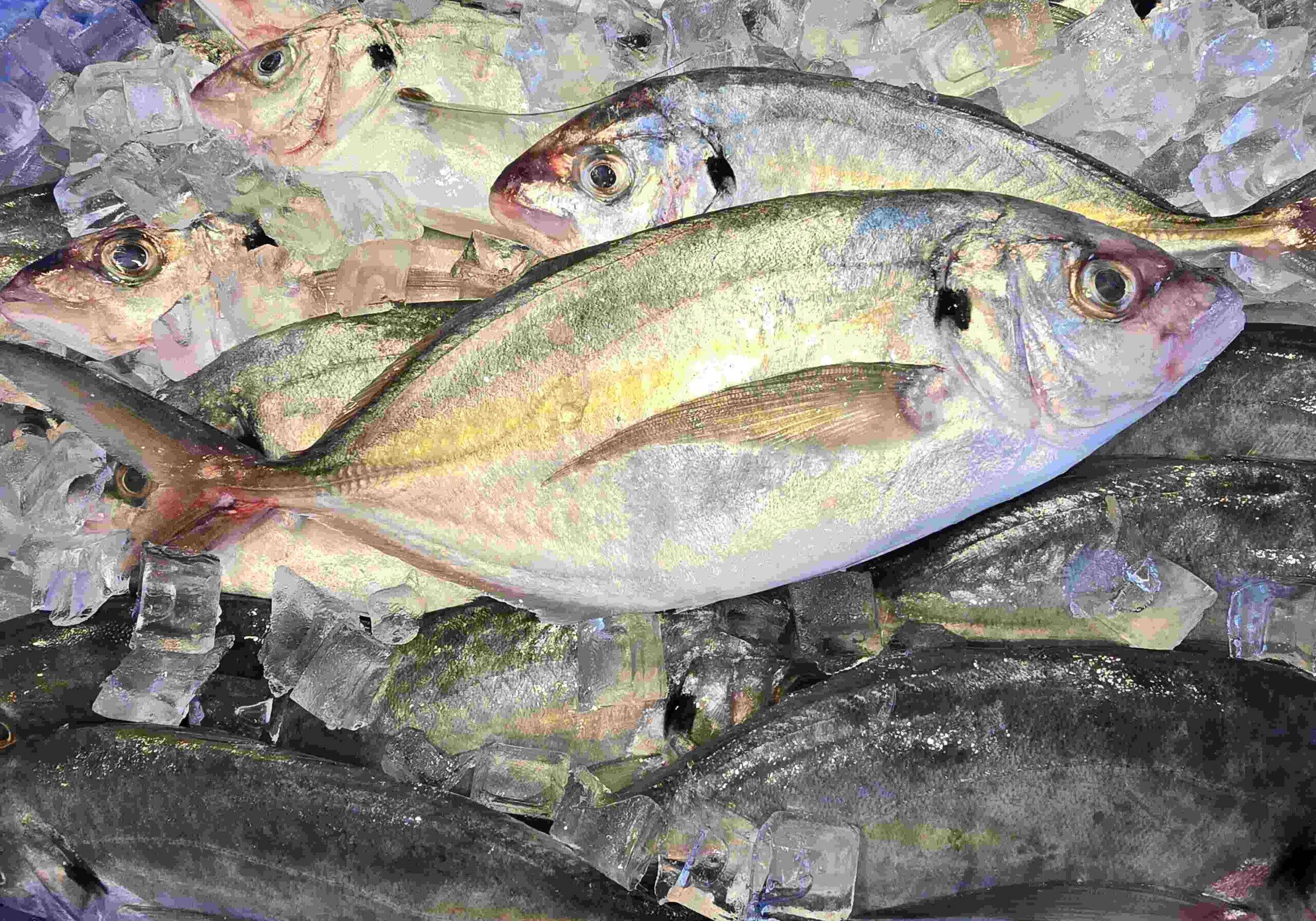 Silver trevally