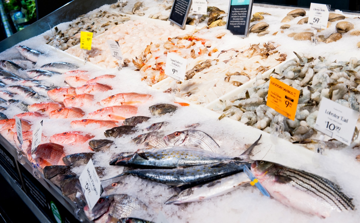 An In-Depth Examination of Oysters and Prawns at the Fish Market in Australia