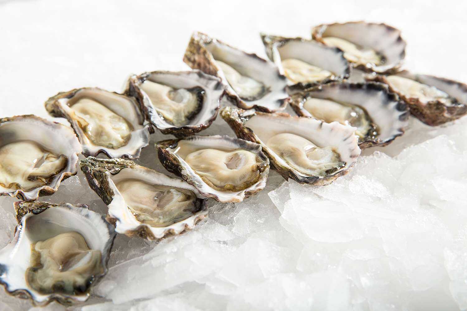 The Growing Oysters Market in Australia: Principal Purchasers