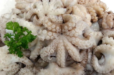 Fresh octopus
