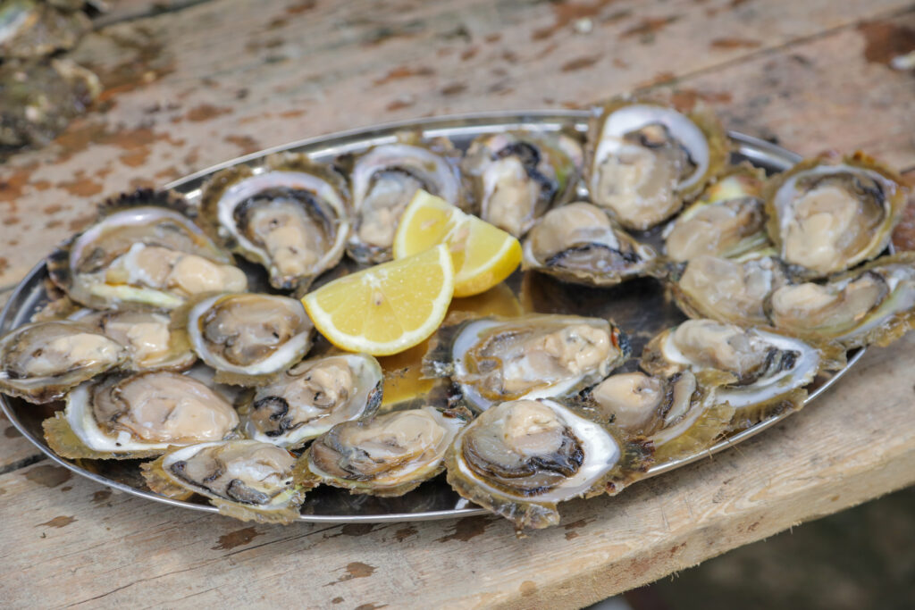From Shore to Spotlight: The Oyster Market in Australia Renaissance
