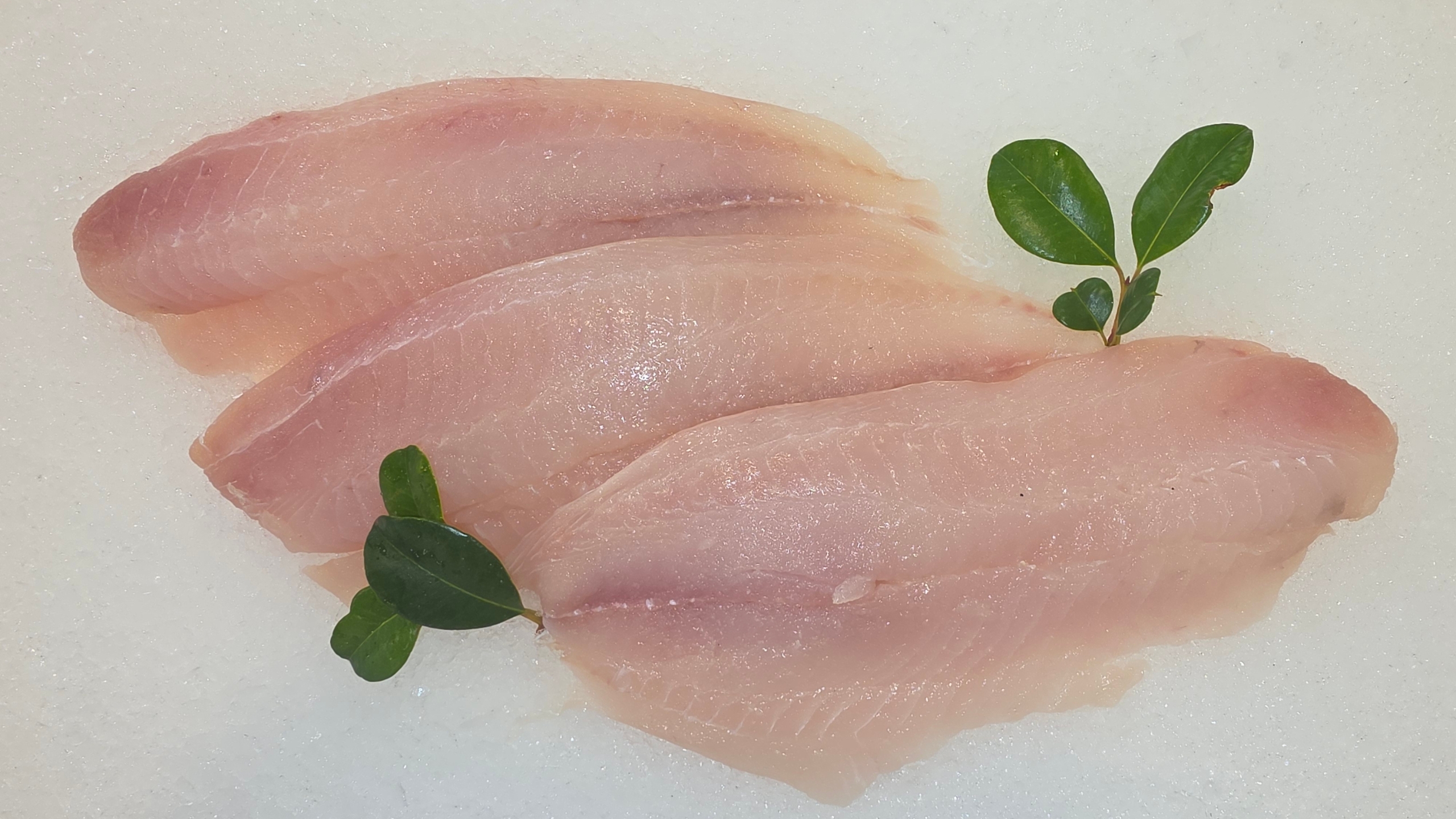 Fresh Bream fillets