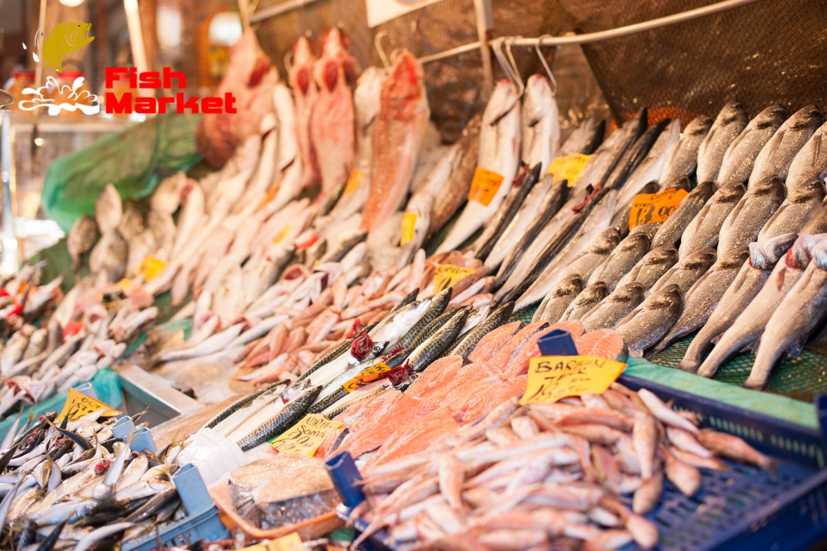 Fish Market Australia