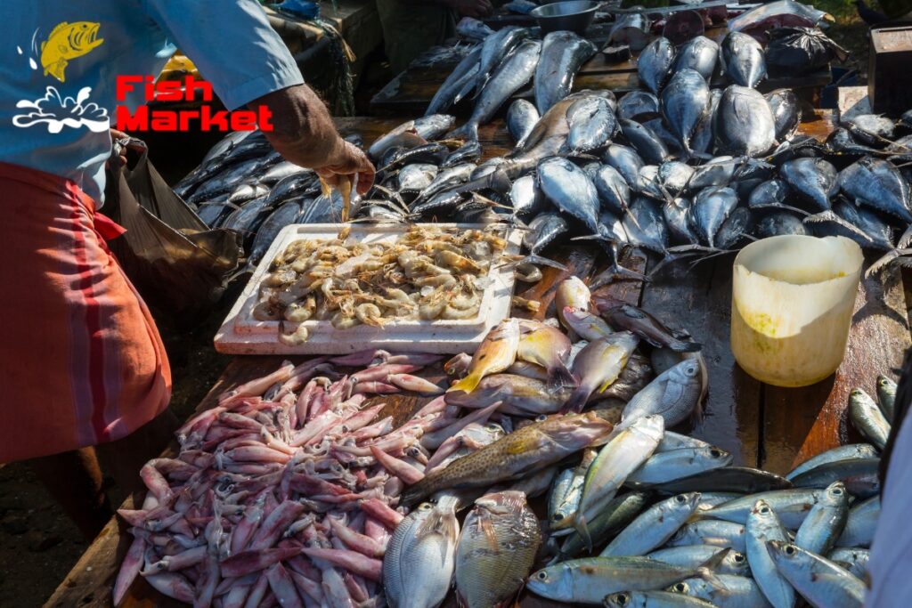 Coastal Australia: Navigating Tides, Tastes, and Travels