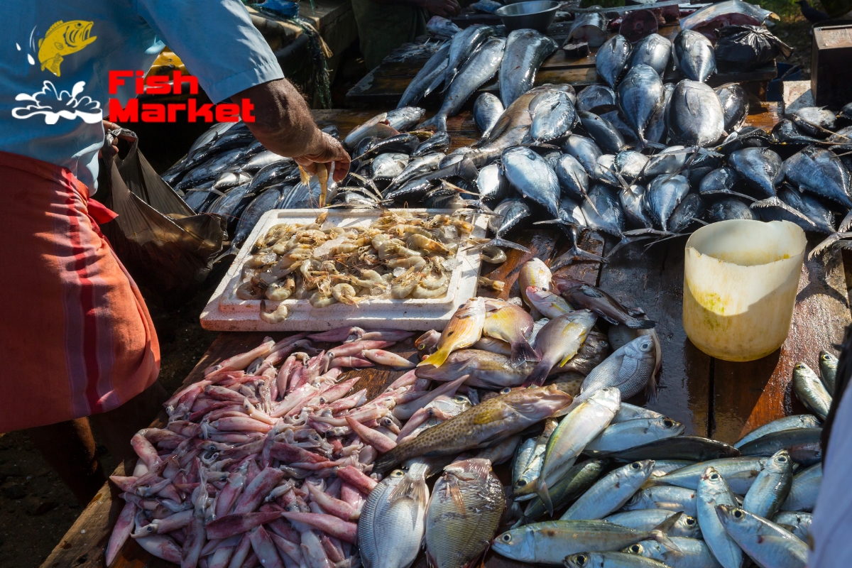 Fish Market Australia