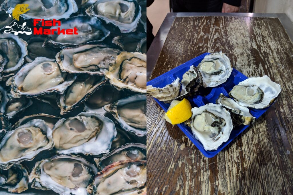 Oysters Market in Australia
