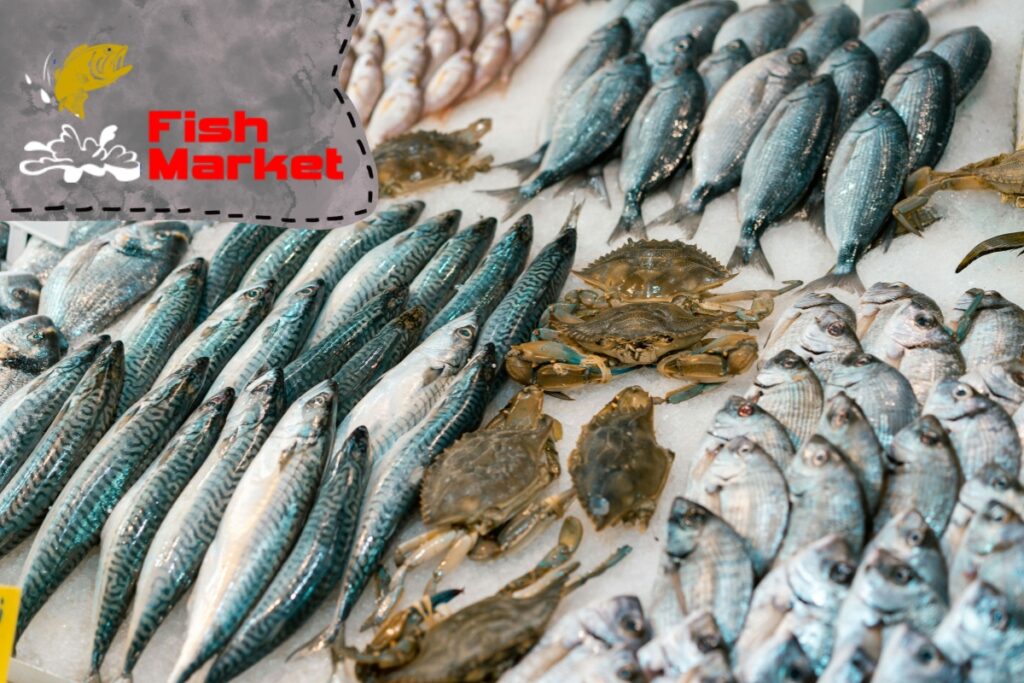Fish Market Australia